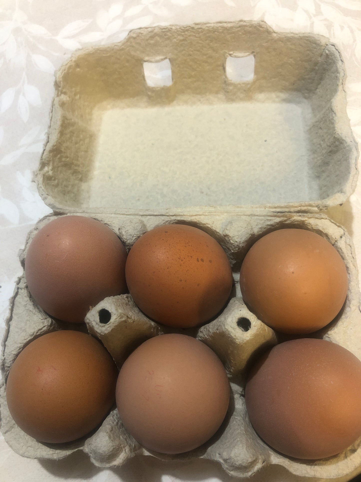 Eggs