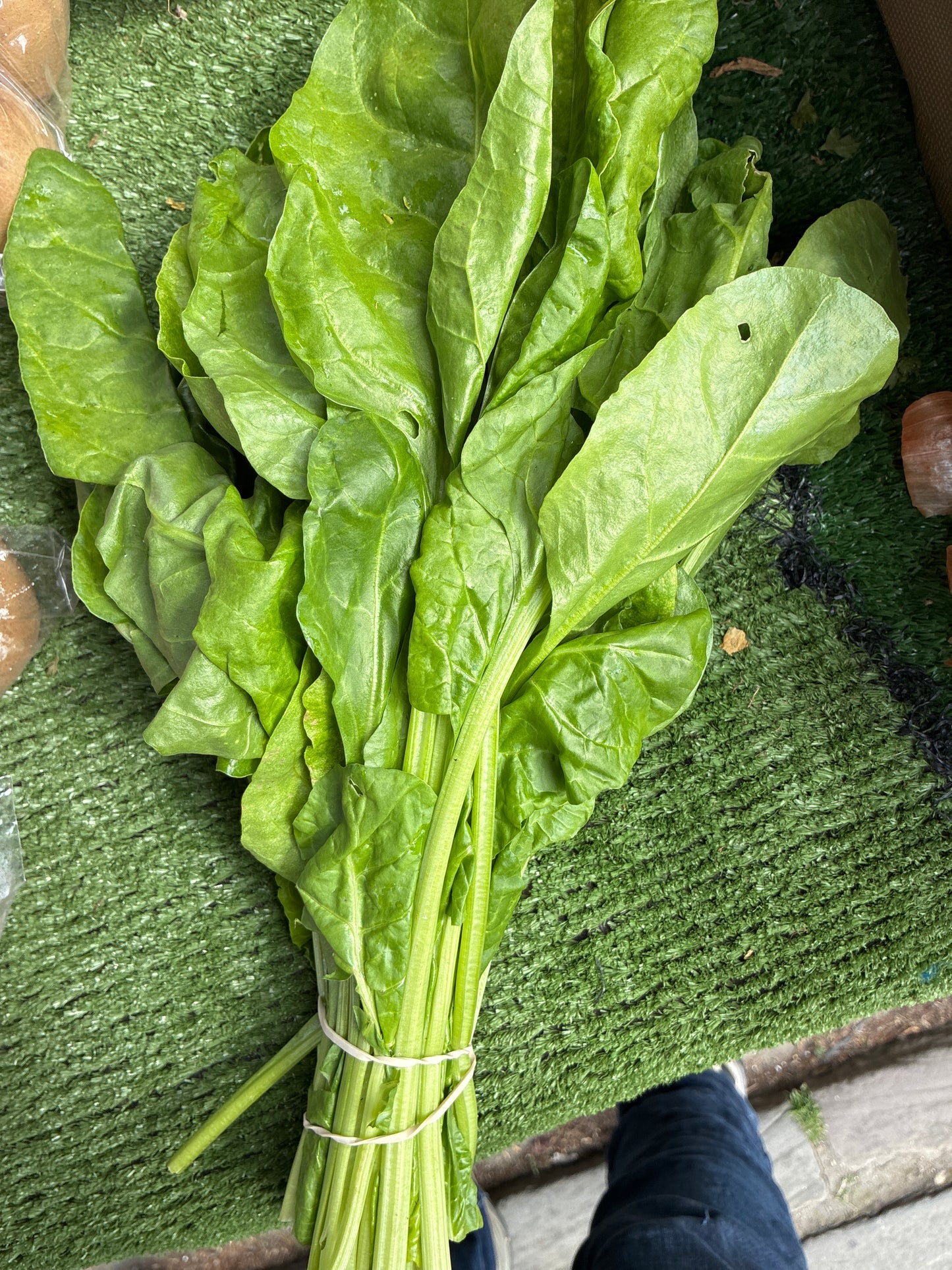 Spinach beet