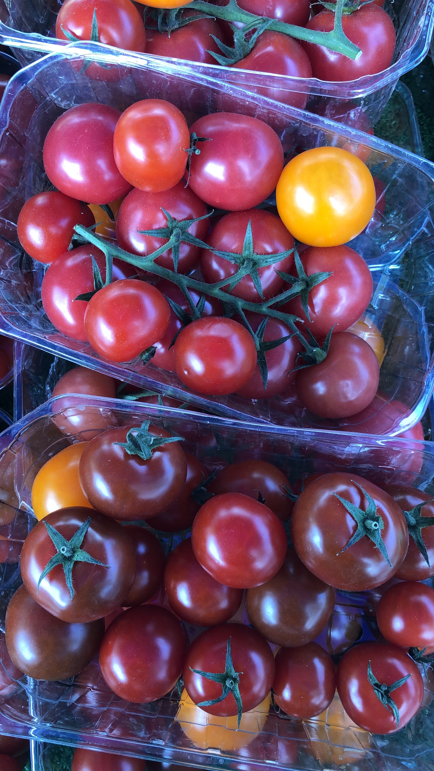 Tomatoes - Cocktail Loose 400g