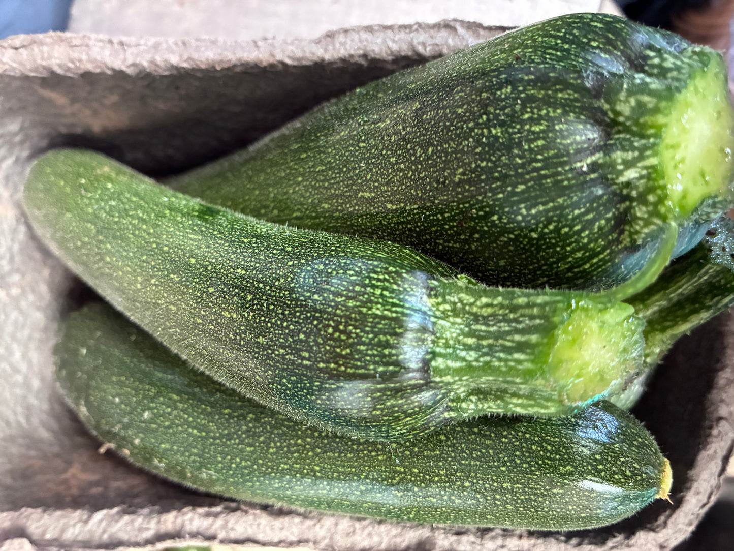 Courgettes - 500g