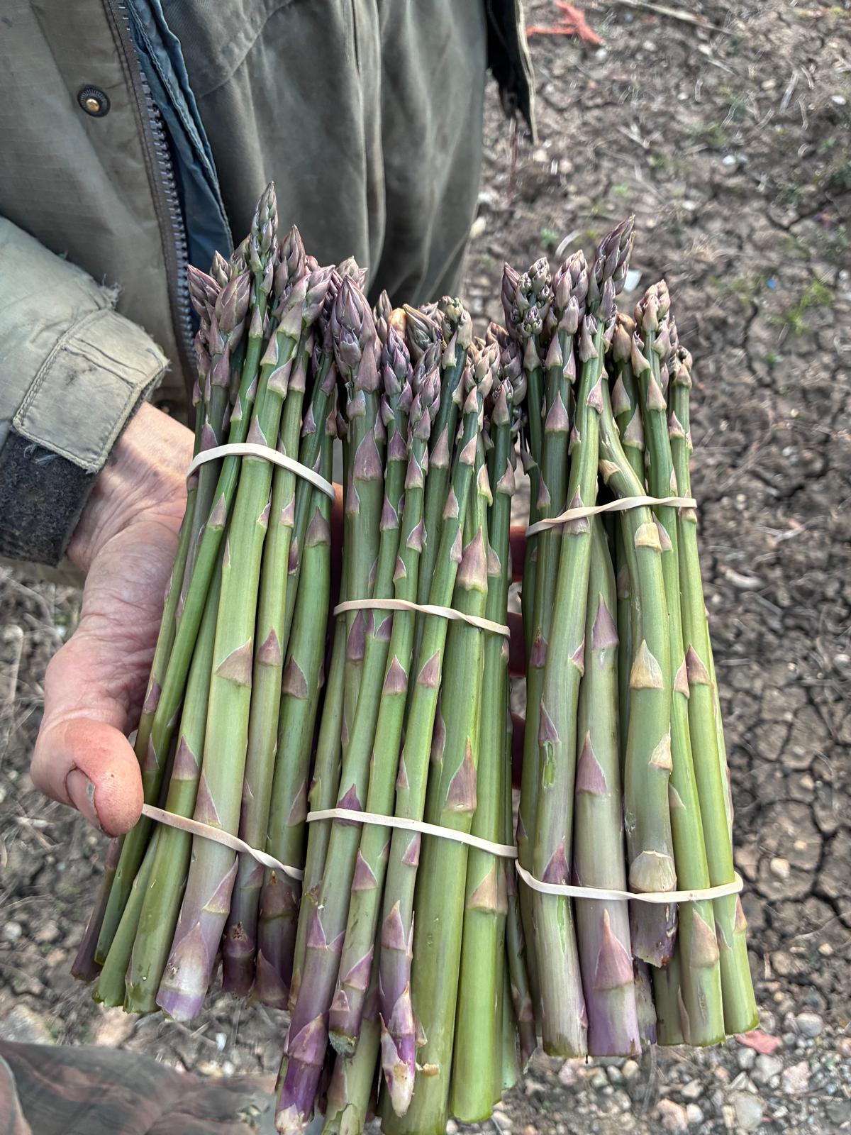Asparagus £4.00