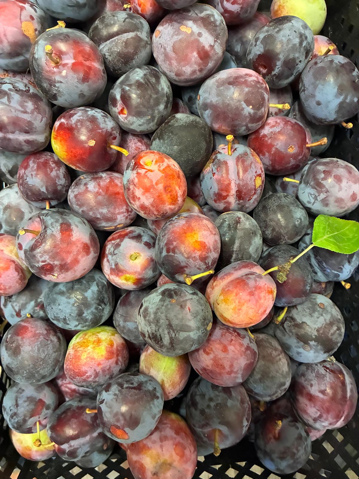Plums- Lucky Dip