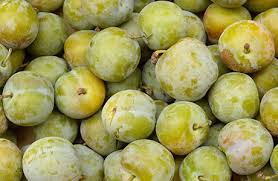 Plums- Greengages