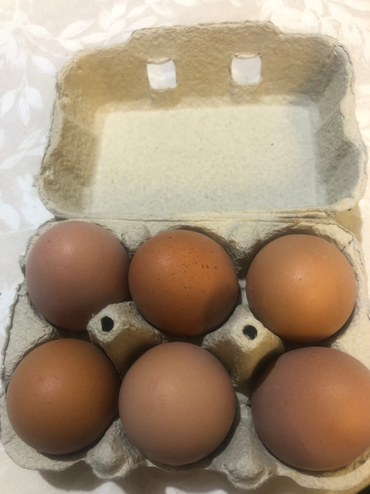 Eggs
