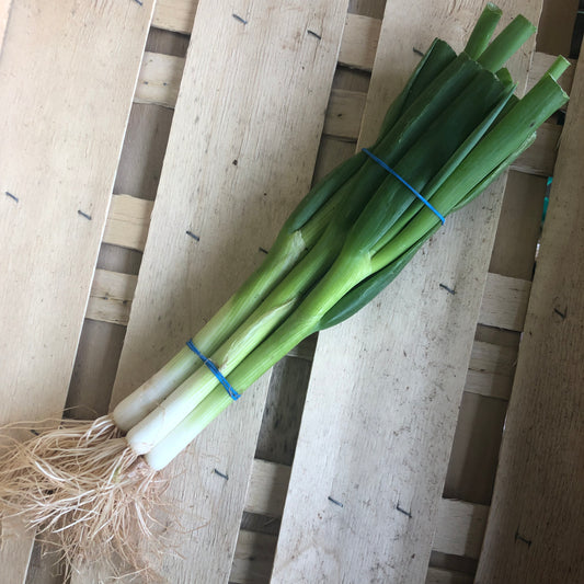 Salad Onions