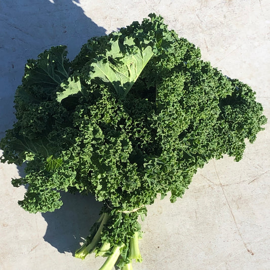 Kale - Curly