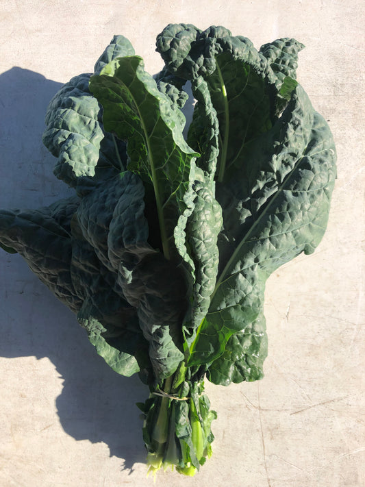 Kale - Cavolo Nero