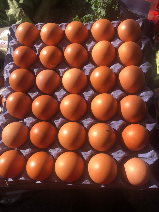 Tray of Eggs