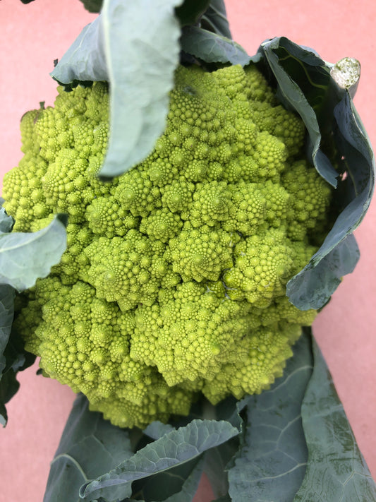 Romanesque Cauliflower