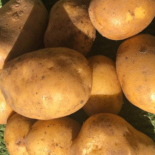 Potatoes -  Charlotte kg or 2kg options
