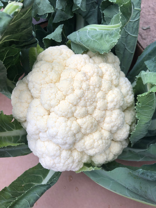 Cauliflower