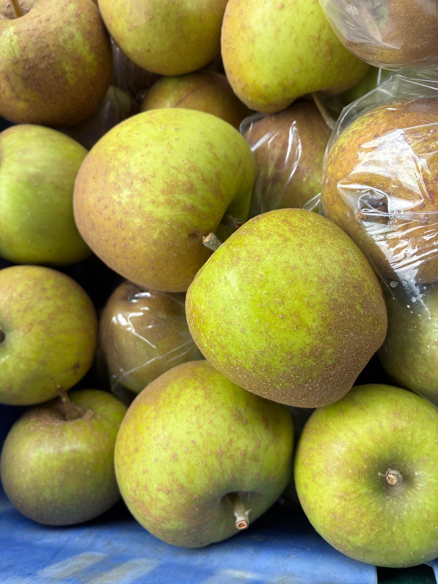 Apples - Egremont Russet