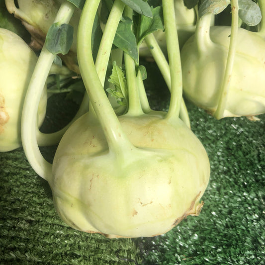 Kohlrabi