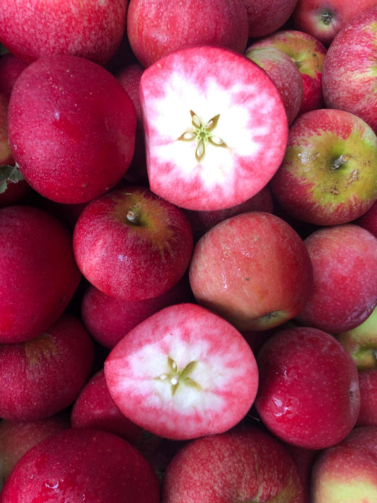 Apples - Rosette