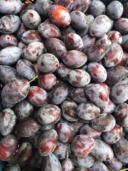 Plums - Purple Pershore