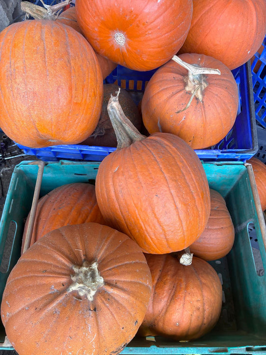 Pumpkins