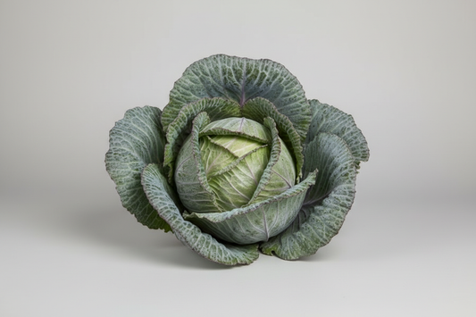 Tundra cabbage on plain background