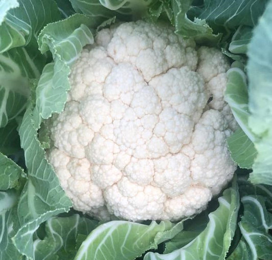 Cauliflower