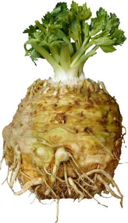 Celeriac