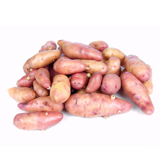 Potatoes - Pink Fir Apple