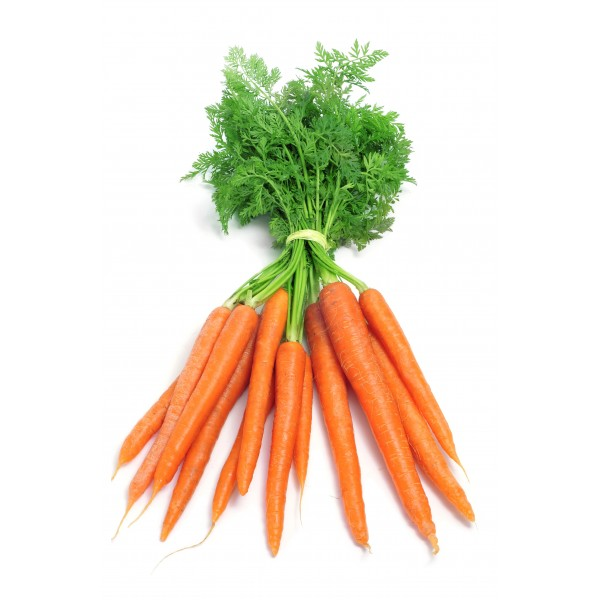 Bunched Carrots