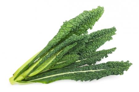 Kale - Cavolo Nero