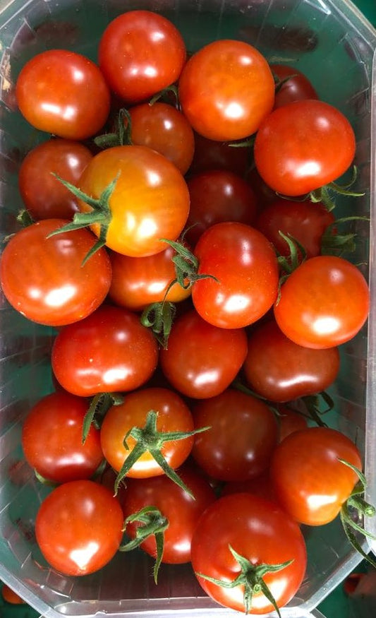 Tomatoes - Cherry