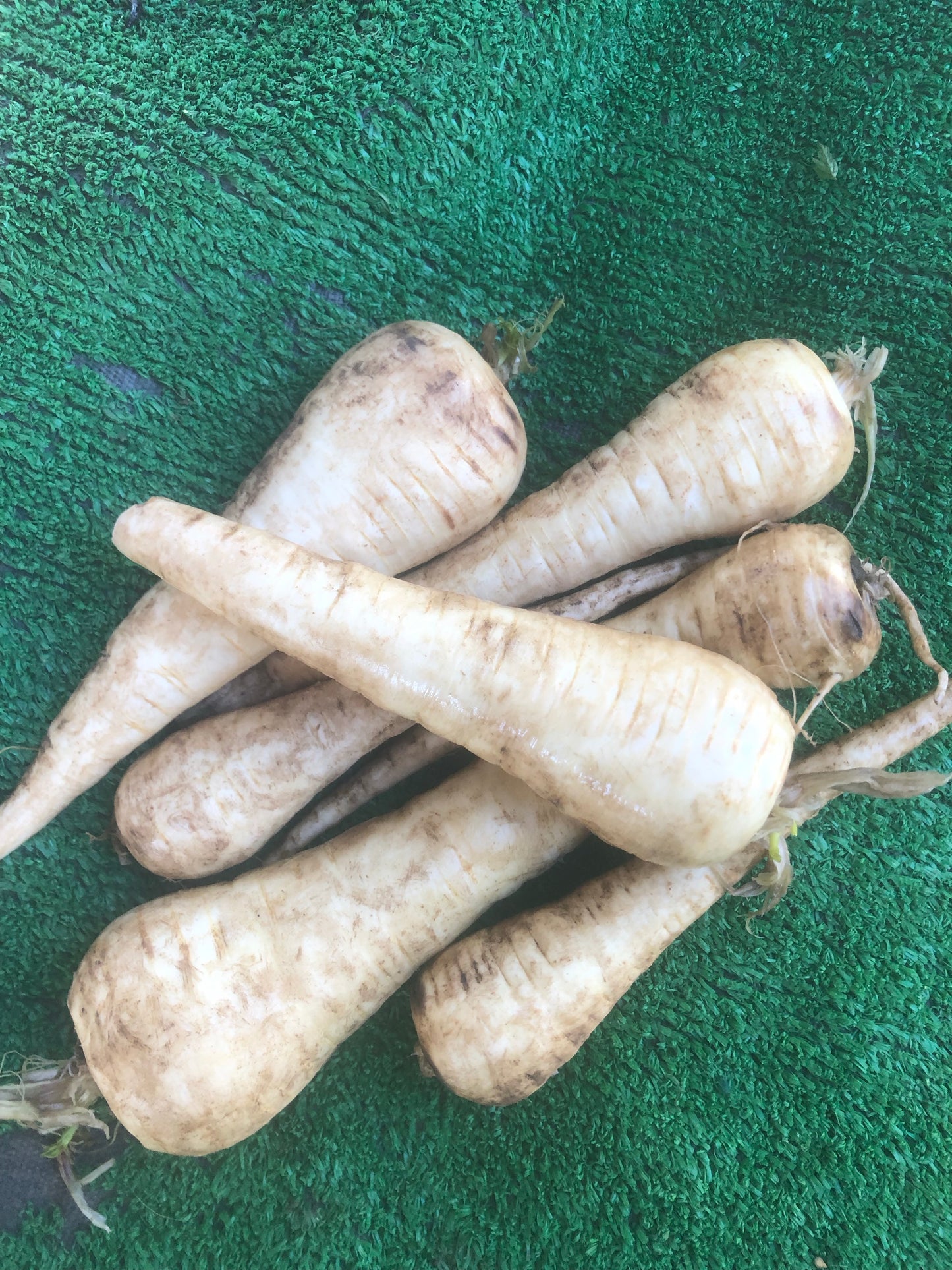 Parsnips 500g or 1kg option