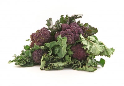 Purple Sprouting Broccoli